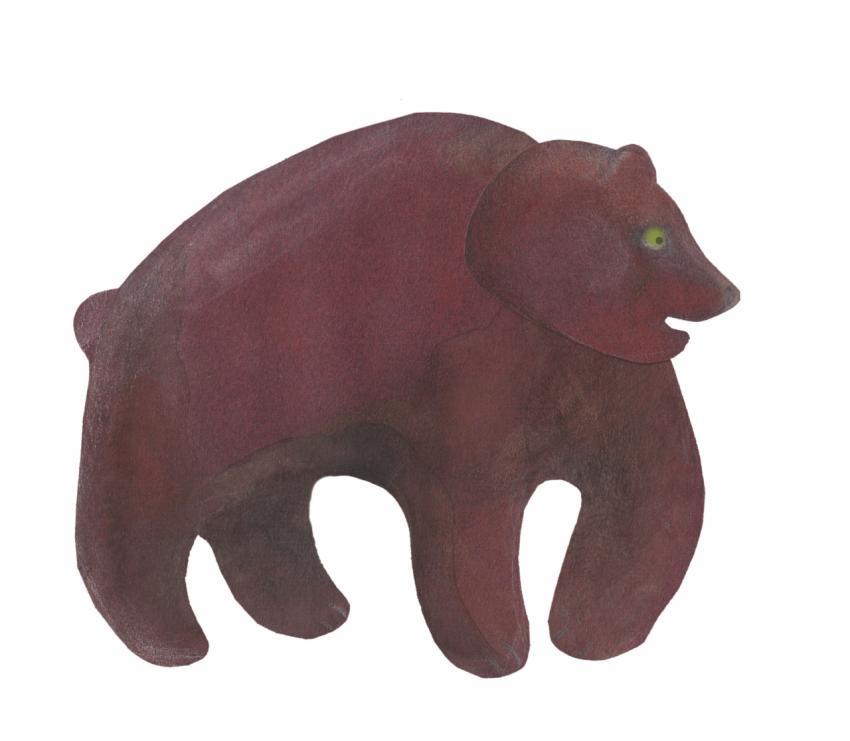 big brown bear