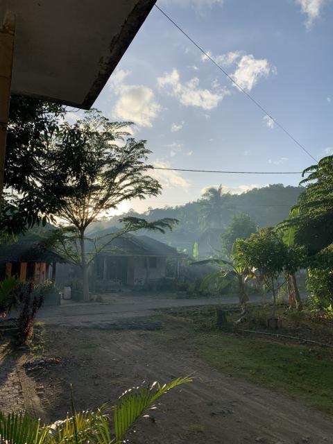 rural morning