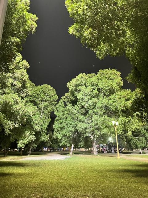 park, night