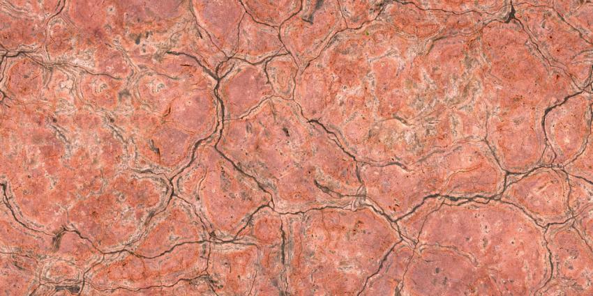 The texture of the old wall surface is terracotta in color with a huge number of cracks, abrasions and irregularities