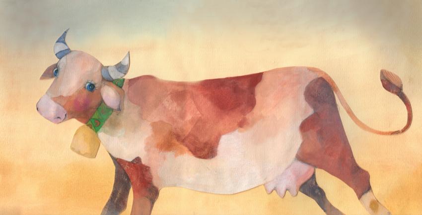 white and brown cow
