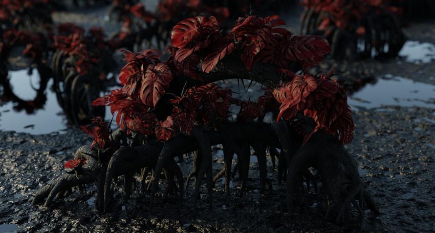 Alien Plants