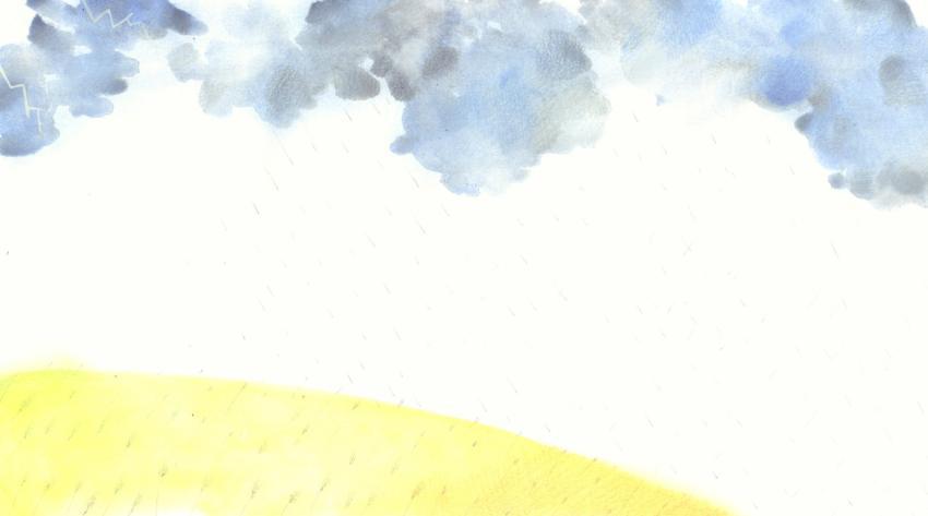 rain above a wheat field