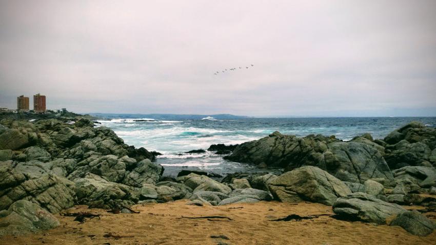 Isla Negra
