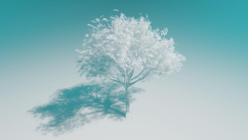 White stylized tree and its shadow on a gradient background