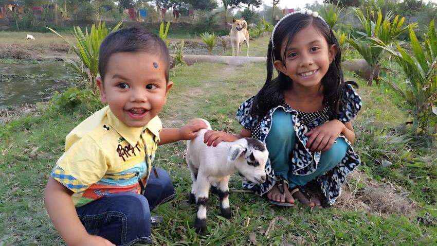 Two Cute Baby with a kitten