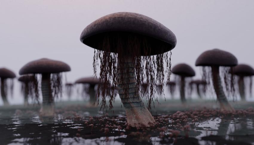 Alien Plants