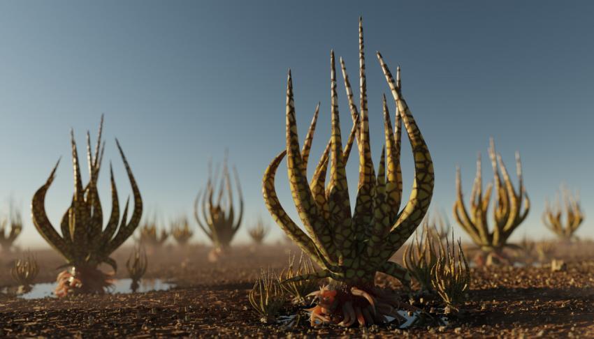Alien Plants