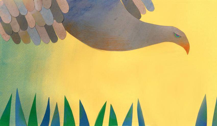 eagle flying above grass on a yellow background