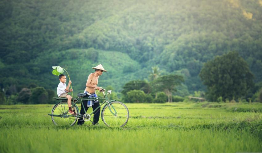 bicycle