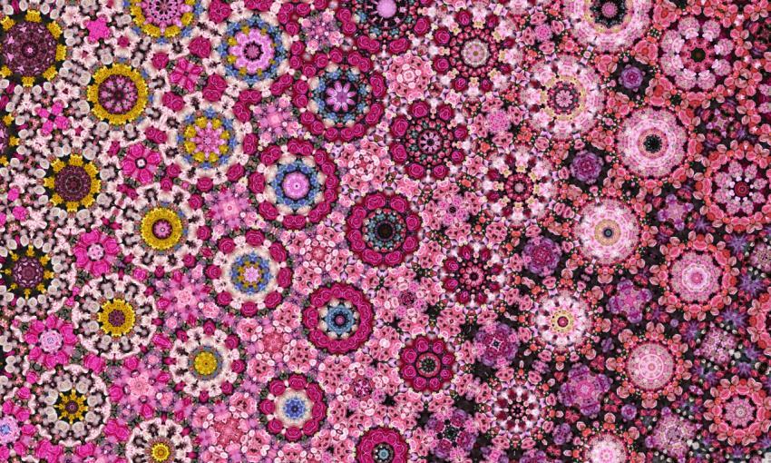 Colorful abstract background of many colors and shades. Flower bouquets and compositions of roses, illustration.