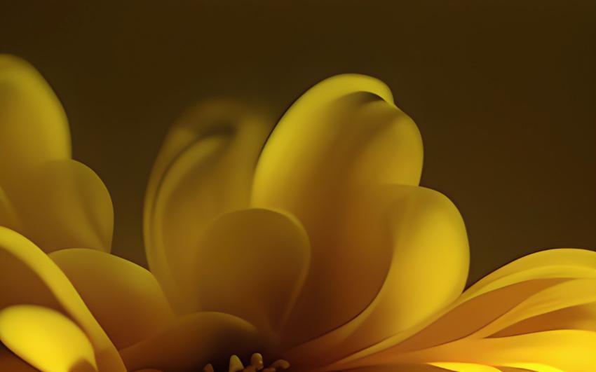 Digital illustration abstract yellow flower background