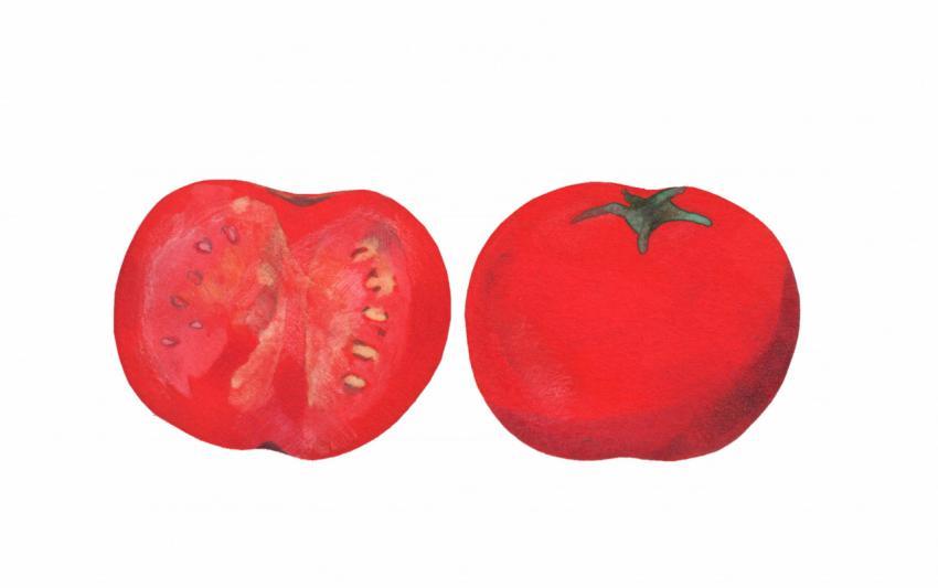 ripe, red tomato and a half