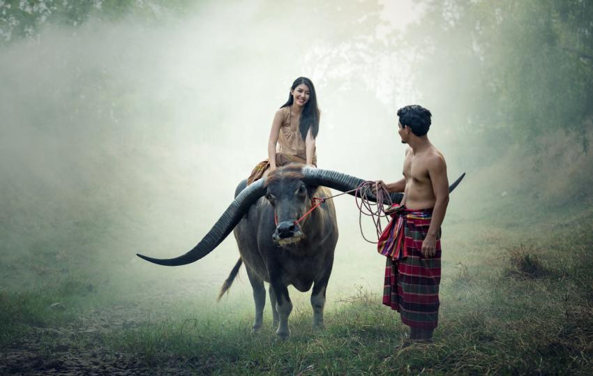 Girl riding a buffalo