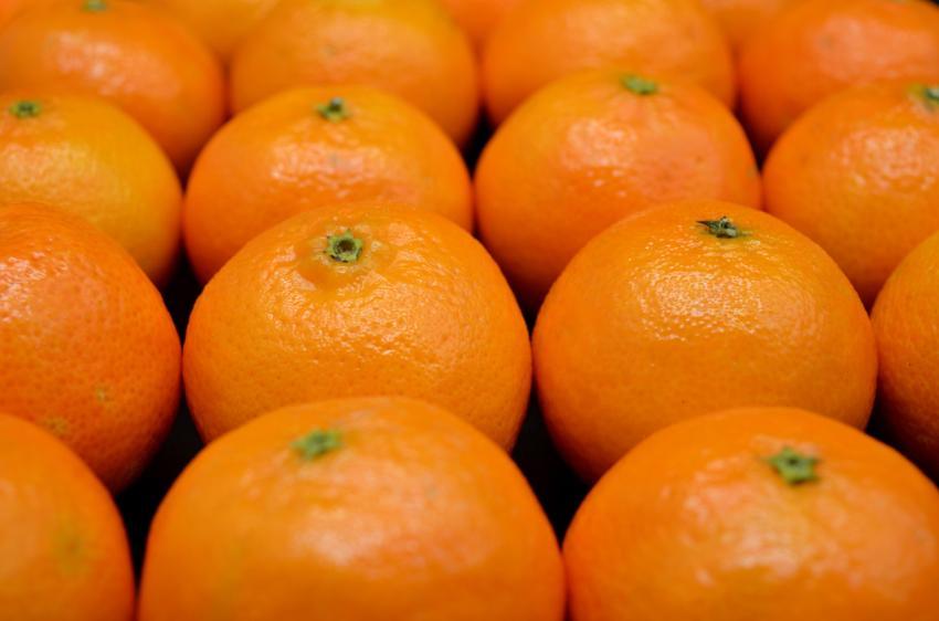 mandarins