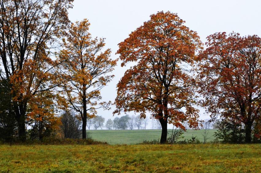 october