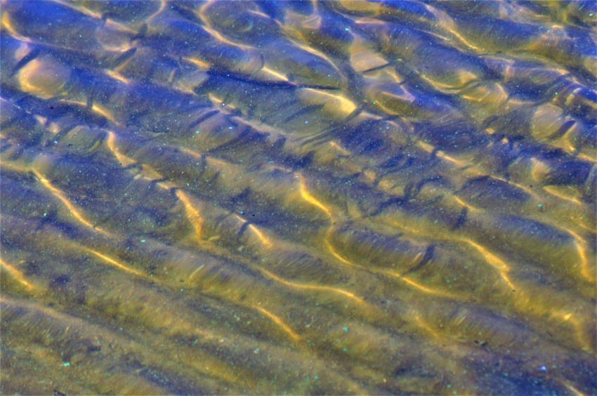sea bottom
