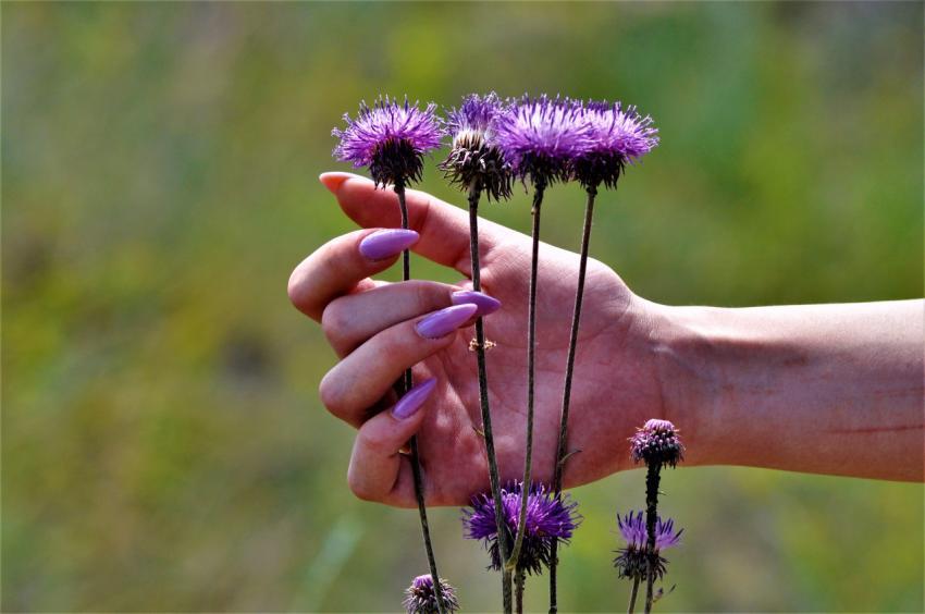 female hand and flowers