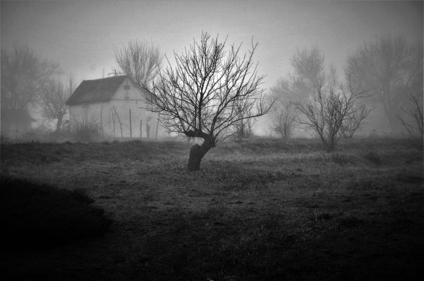 black and white photo of a house standing in the fog