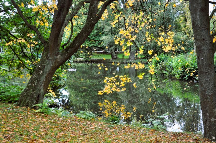autumn