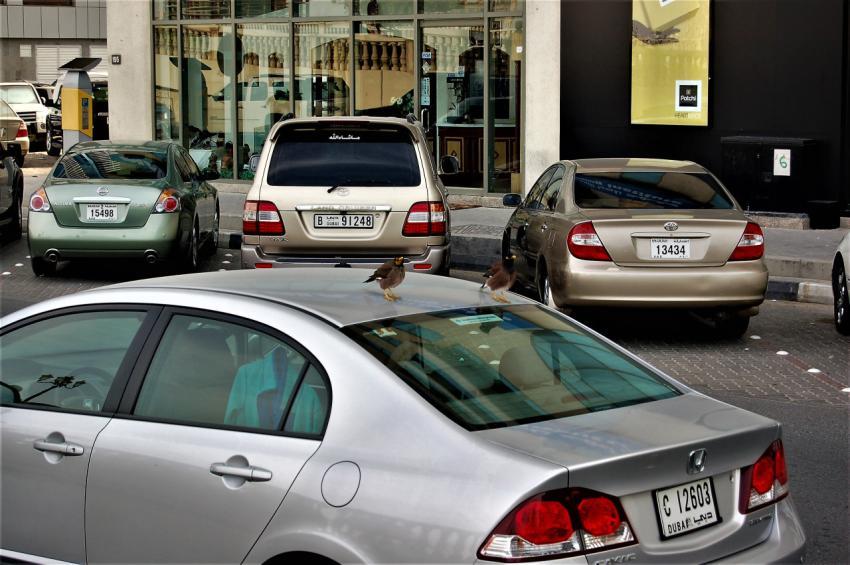 Cars in the city
