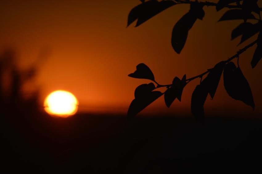 Sun