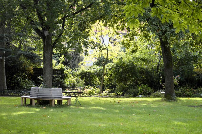 Park