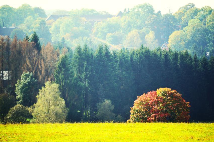 autumn