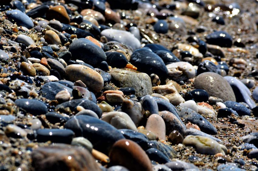 sea stones