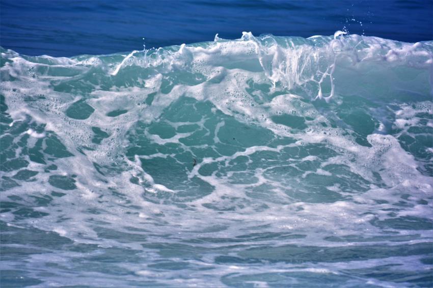 Sea foamy wave