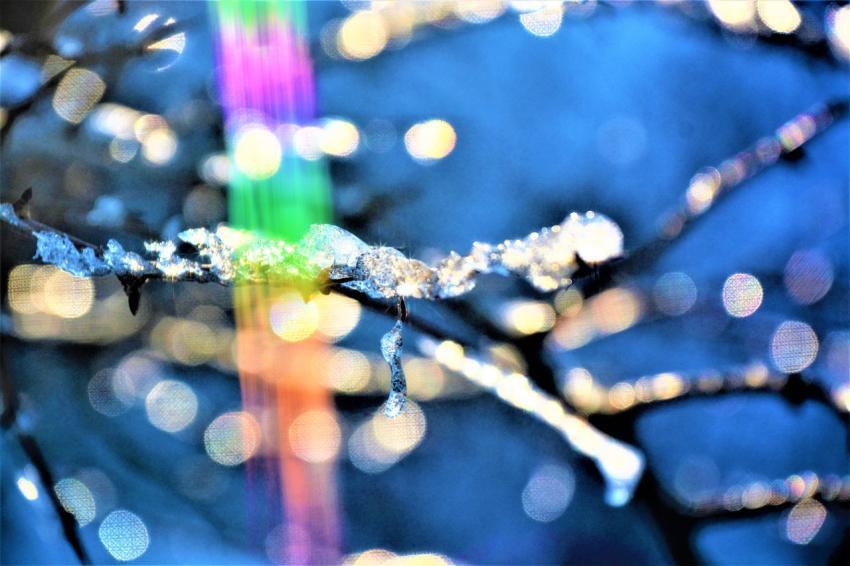 snow on a branch, light artifact