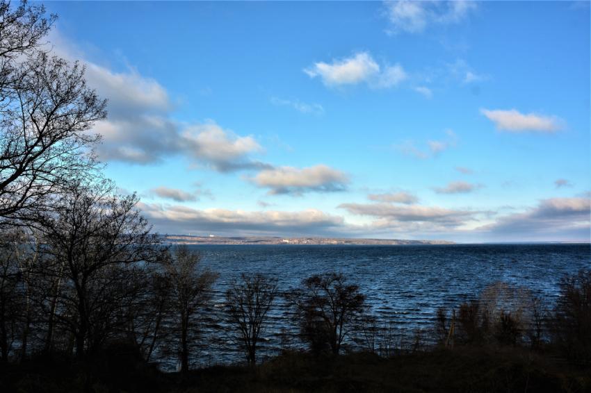 ordinary landscape