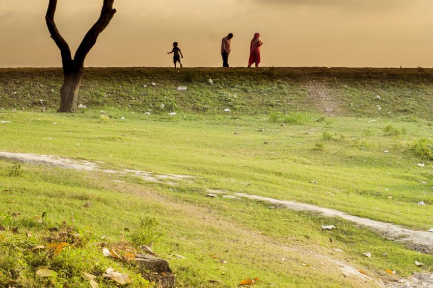 Child Field