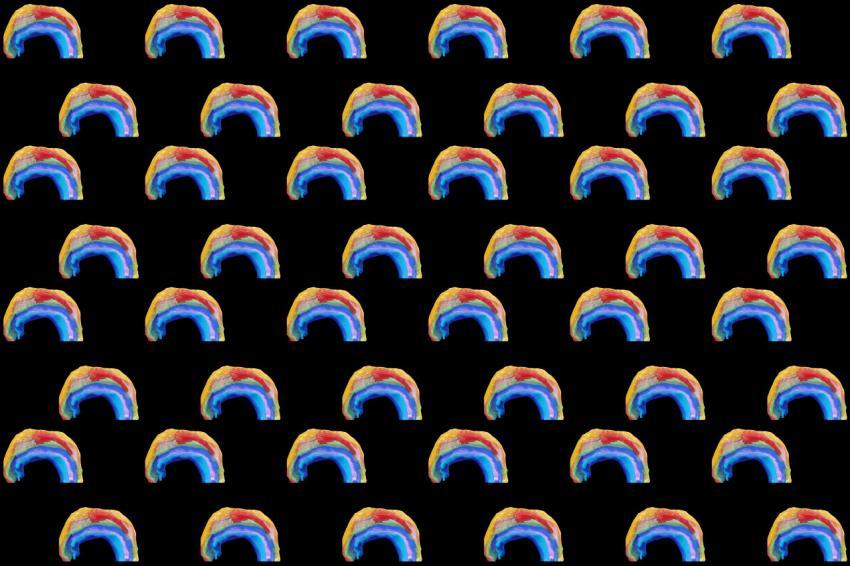 rainbow