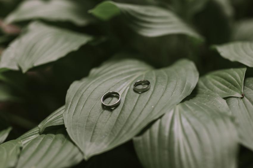 Wedding rings on a large flower leaf