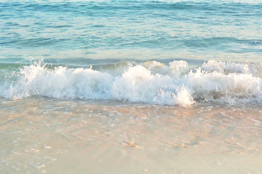 Foamy sea wave