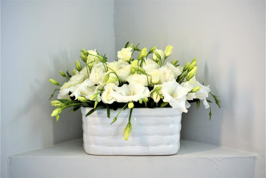 flowers in a pot