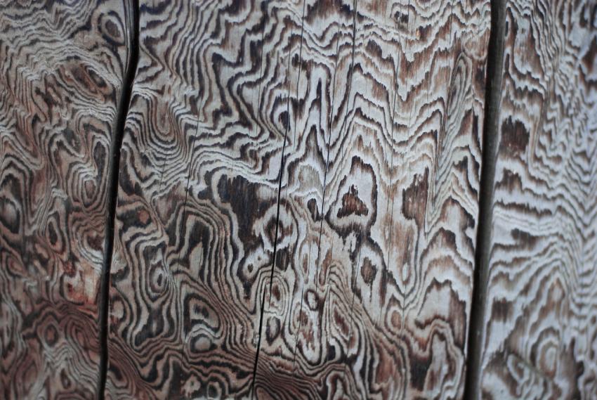 wooden surface