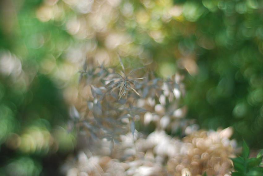 Blurred background
