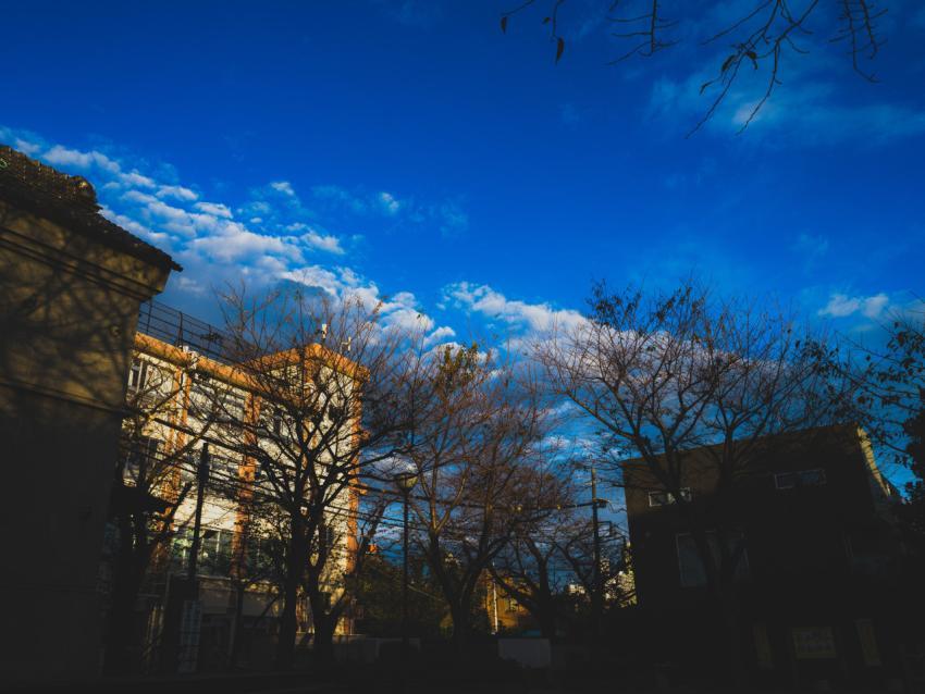 view of some buildings and trees from the ground