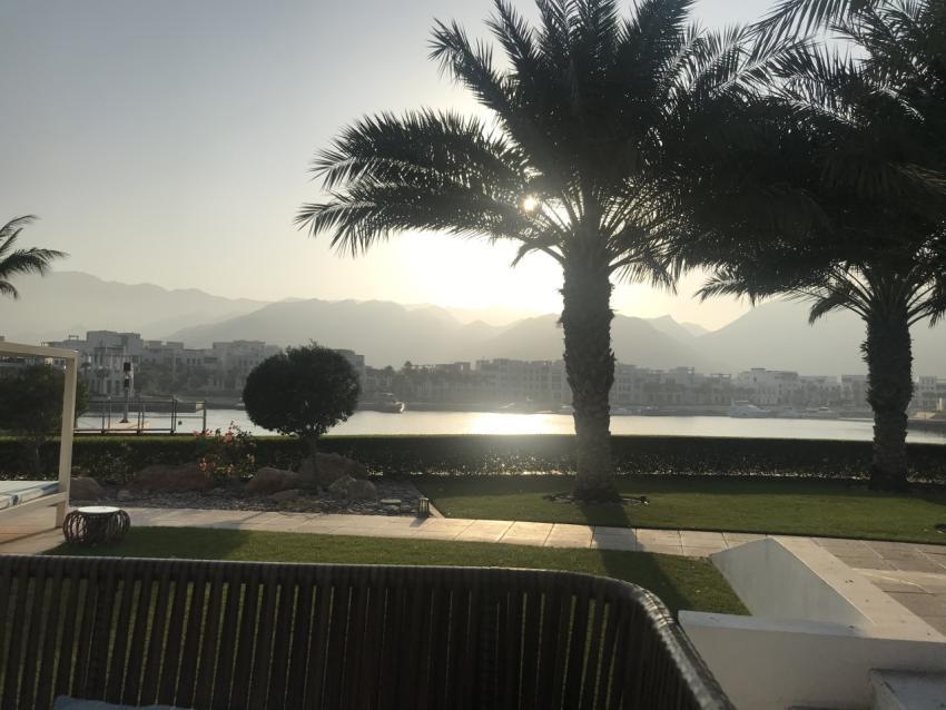 Palm trees, hills, city, sunset
