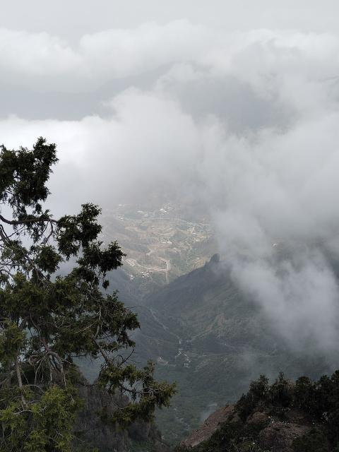 top view