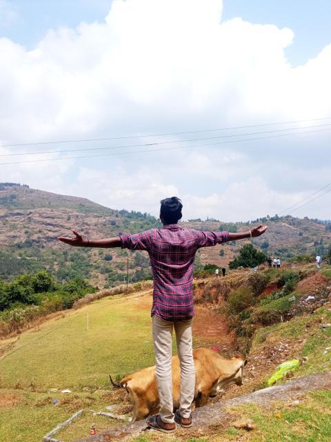 Freedom
