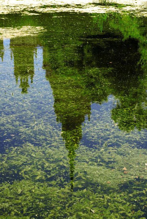 reflection in water