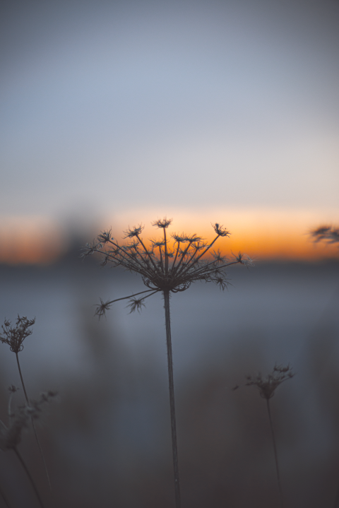 autumn sunset