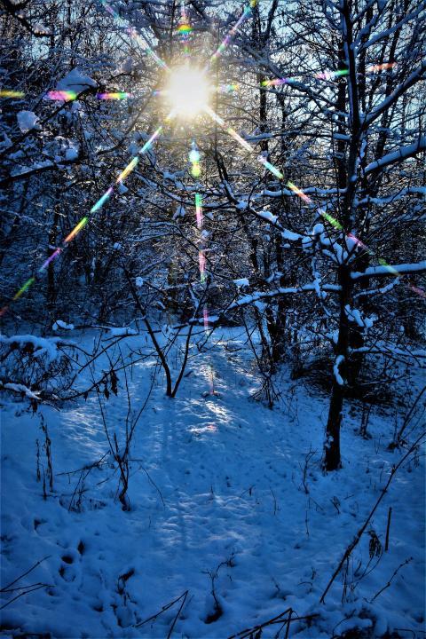 winter blue landscape