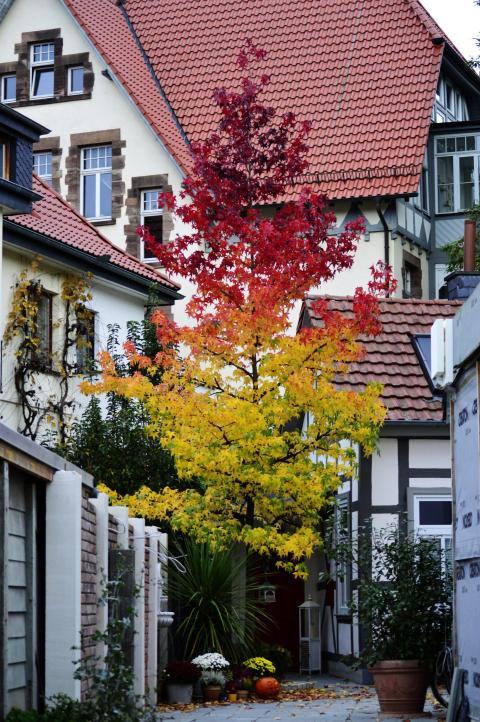 november