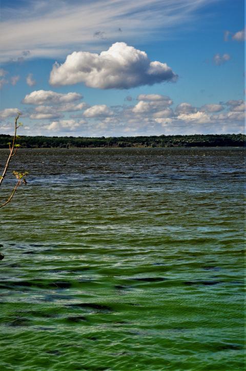 clouds over green water
