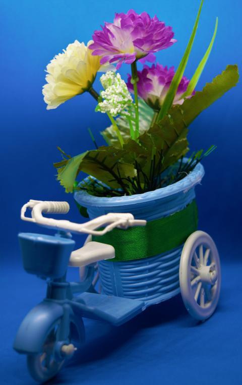 flowers in a pot in the form of a bicycle