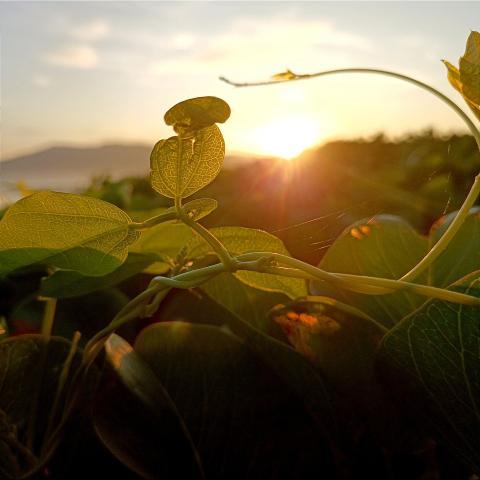Sunrise